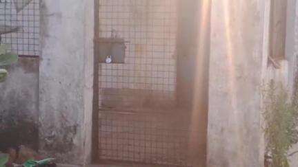 बगोदर: बगोदर पुलिस ने तिरला से प्रतिबंधित मांस और अन्य अवशेष जब्त किए