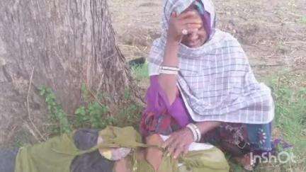 वल्लभनगर: तारावट में आकाशीय बिजली गिरने से एक महिला सहित तीन बकरियों की हुई मौत