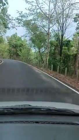 लोहरदगा जिला के पेसररा सड़क किनारे का सेफ्टी Gadwal Nahin Hai
