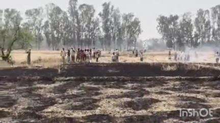 सिरौली गौसपुर: खोर एत्मादपुर गांव में खेत में रखे गेहूं के भूसे में अचानक लगी आग, मची अफरा-तफरी