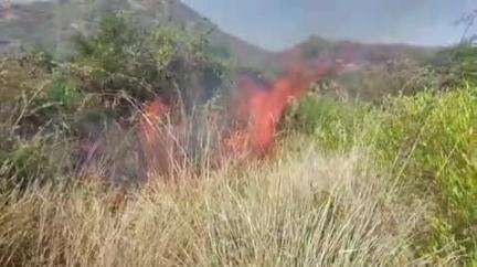 செங்கோட்டை: மேற்கு தொடர்ச்சி மலைப் பகுதிகளில் திடீர் தீயை அணைப்பதற்கு வனத்துறையினர் தீவிர முயற்சி.