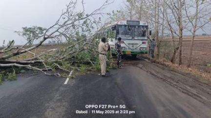 అసిఫాబాద్: ధబోలి గ్రామ సమీపంలో రోడ్డుపై అడ్డంగా పడిన చెట్టు,తొలగించిన జైనూర్ పోలీసులు