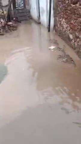 रावतभाटा तहसील के ग्राम पंचायत झरझनी में वार्ड नंबर 03 मेघवाल मोहल्ला पुरा जल मग्न हे पुरा गांव का पानी आके इक्टा होजाता