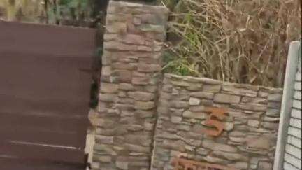 कामठी: कामठी मार्गावरील फार्म हाऊस रेव्ह पार्टी, पोलिसांचा छापा, लाखोंचा मुद्देमाल जप्त