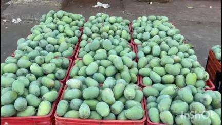 નવસારી: નવસારી જિલ્લામાં ચોમાસા બાદ પ્રથમ વખત નવસારી એપીએમસી માર્કેટમાં 4,000 થી વધુ મણ કેરીની આવક થઈ