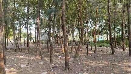 নামখানা: মুড়িগঙ্গা নদীর ক্রমশ করছে নিউ বকখালি পিকনিক স্পট আতঙ্কে এলাকার মানুষ #Jansamasya