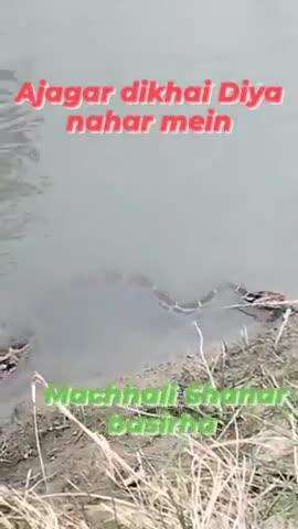 ajgar nahar mein dikha logon mein machi hardam