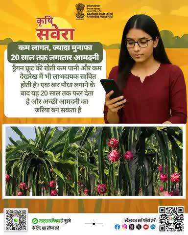 हर सुबह खेती की सही बात! 
जुड़े रहिए #KrishiSavera के साथ और शेयर करें अपनी टिप्स। 

#Agrigoi #Farmingtips