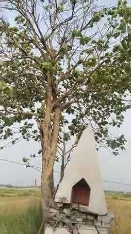लुक माई स्थान का दर्शन करे