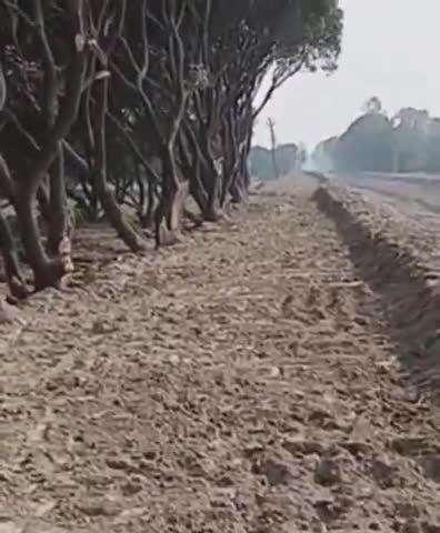 नवाबगंज: मसौली से रहरा मऊ तक आदर्श नहर परियोजना, क्षेत्रीय विकास और सिंचाई व्यवस्था को नया आयाम देती एक पहल
