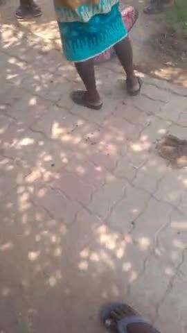 ग्राम ठाढी ढडवा पंचायत  का पेनचती नही हुआ  है
