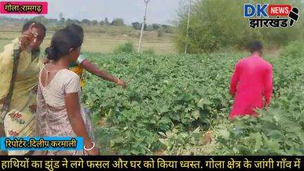 गोला क्षेत्र :जांगी गाँव में जंगली हाथियों के झुंड ने लगे फसल और घर को किया ध्वस्त.किसानो को हुआ रो रो कर बुरा हाल