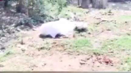 अम्बाला: अंबाला कैंट की पक्की सराय नाली से मिला शव, पुलिस जांच में जुटी