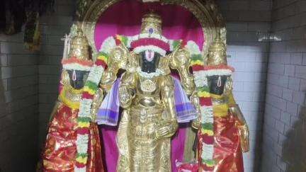 போடிநாயக்கனூர்: போடியில் வெள்ளை நிற பட்டு உடுத்தி தங்க குதிரை வாகனத்தில் கொட்டக்குடி ஆற்றில் இறங்கிய கள்ளழகர்