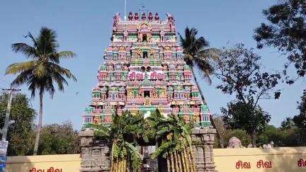 உளுந்தூர்பேட்டை: திருநாவலூர் பக்தனேஸ்வரர் திருக்கோயிலில் எல்லையில் பணிபுரியும் ராணுவ வீரர்கள் உடல்நலத்துடன் பணிபுரிய வேண்டி நடந்த சிறப்பு ஆயூஷ் யாகம்
