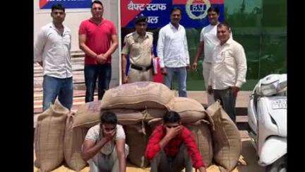 कैथल: AVTS कैथल ने गेहूं चोरी के दो आरोपियों को किया गिरफ्तार