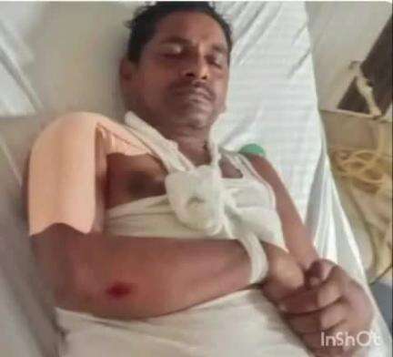 महुआ: महुआ हाजीपुर सड़क मार्ग पर सेंदुआरी के पास नीलगाय से टक्कर, स्वास्थ्य कर्मी गंभीर रूप से घायल
