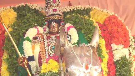 சிவகங்கை: கோவிந்தா கோஷங்கள் முழங்கு வெண்பட்டுடுத்தி ஆற்றில் இறங்கிய நாட்டரசன் கோட்டை வெங்கடாஜலபதி பெருமாள் ஏராளமான பக்தர்கள் சக்கரைதீபம் காட்டி வழிபாடு
