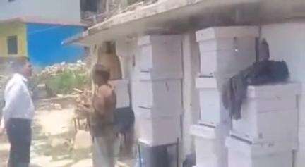 नंदप्रयाग: गुडम में उपजिलाधिकारी ने मधुमक्खी पालन का किया निरीक्षण