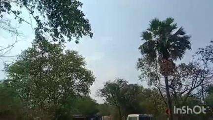 चंदवारा: चंदवारा में हाईवे की चपेट में आने से पत्नी की मौत, पति गंभीर रूप से घायल