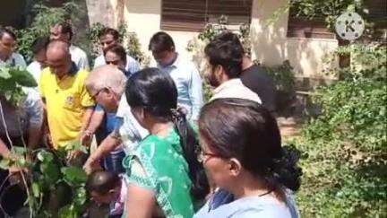 कुचामन सिटी: लायंस क्लब कुचामन फोर्ट ने नर्सेज दिवस पर राजकीय जिला चिकित्सालय में नर्सिंग कर्मियों का सम्मान किया, वृक्षारोपण भी किया