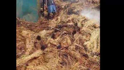 সিউড়ি ১: নবগ্রামে আগুনে পুড়ে গেল বাড়ি সহ খড়ের পালুই, ঘটনাস্থানে দমকলের একটি ইঞ্জিন