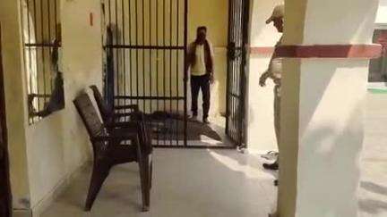 भगवानपुर: खुब्बनपुर गांव से पुलिस ने नाबालिग किशोरी के साथ दुष्कर्म करने वाले एक आरोपी को किया गिरफ्तार