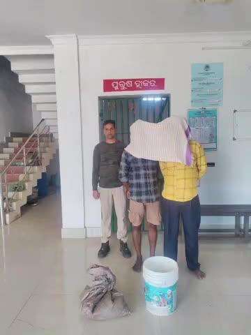 ଜୟପୁର: ଦେଶୀ ମଦ ଚାଲାଣ ବେଳେ ସୌରାଗୁଡା ଓ ପଢେଇକେରାରେ ଅବକାରୀ ଚଢ଼ାଉ, ୨ ଗିରଫ