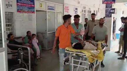 मुलताई: नारखेड़ में सड़क पर जंगली सुअरों से बाइक सवार की टक्कर, दो घायल