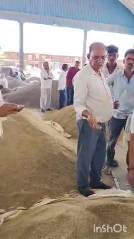 मेड़ता: मेड़ता सिटी कृषि उपज मंडी में जीरे के भाव में स्थिरता के चलते किसान चिंतित