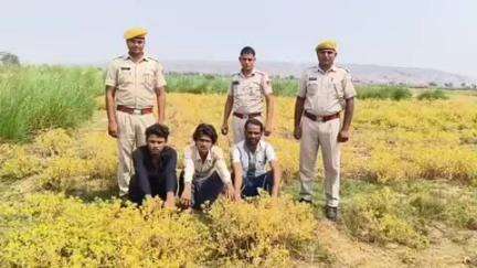 पहाड़ी: पहाड़ी पुलिस ने साइबर ठगों का लिया रिमांड, पूछताछ जारी