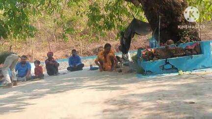 बिलासपुर: ग्राम झांपी में बैसाखी पर्व पर खेरमाई मंदिर में जवारे बोए गए, भंडारे का आयोजन हुआ