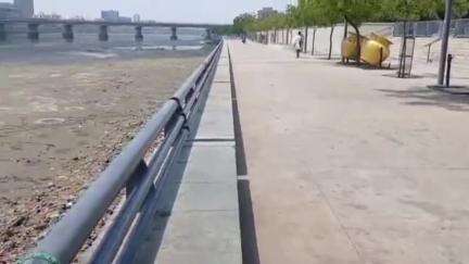 વટવા: અમદાવાદની સાબરમતી નદીની સાફ-સફાઈ શરૂ કરાઈ