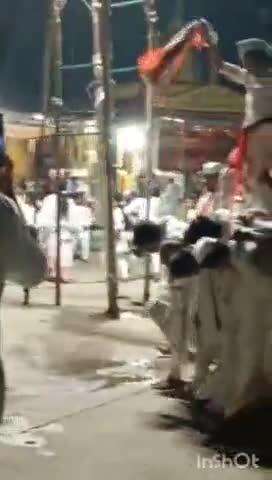 कळमेश्वर: विदर्भाचे पंढरपूर धापेवाडा येथे भागवत सप्ताहाचे आयोजन