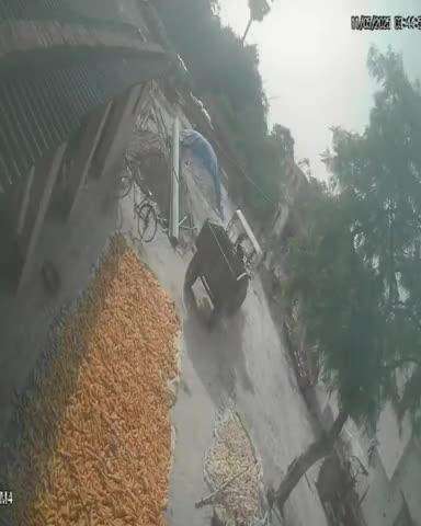 पातेपुर: रेपुरा गांव में जमीनी विवाद को लेकर दो पक्षों में हुई मारपीट, घटना सीसीटीवी में कैद