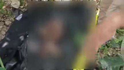 सिकंदरपुर: खरीद दियारे में कुएं में मिला शव, फैली सनसनी, पुलिस ने शव को कब्जे में लिया