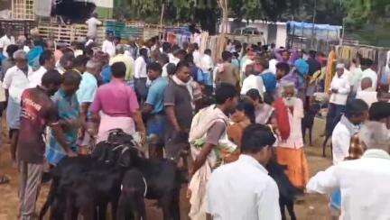 நல்லம்பள்ளி: நல்லம்பள்ளி வட்டாட்சியர் மைதானத்தில் நல்லம்பள்ளி ஆட்டுச் சந்தை 40 லட்சத்திற்கு விற்பனையானது