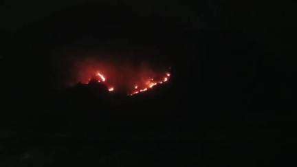 நிலக்கோட்டை: சிறுமலையில் பற்றி எரியும் காட்டுத்தீயால் மூலிகைச் செடிகள் வன உயிரினங்கள் பாதிக்கப்படும் என வன ஆர்வலர்கள் வேதனை