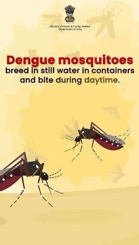 #DenguePrevention
Prevent mosquito breeding by eliminating stagnant water and ensuring proper cleanliness of containers.