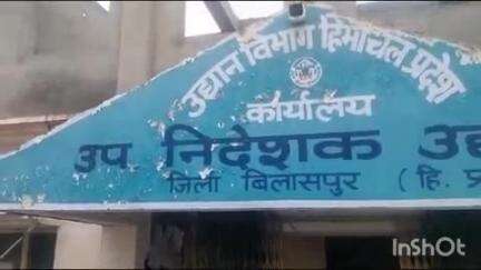 बिलासपुर सदर: एचपी शिवा प्रोजेक्ट के तहत बिलासपुर में तैयार होने वाले माल्टा, अमरुद, अनार, लीची अब नामी कंपनियों द्वारा खरीदे जाएंगे