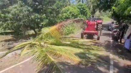 செங்கோட்டை: மேற்கு தொடர்ச்சி மலைப் பகுதிகளில் யானைகள் அட்டகாசம் விவசாயிகள் அச்சம்.