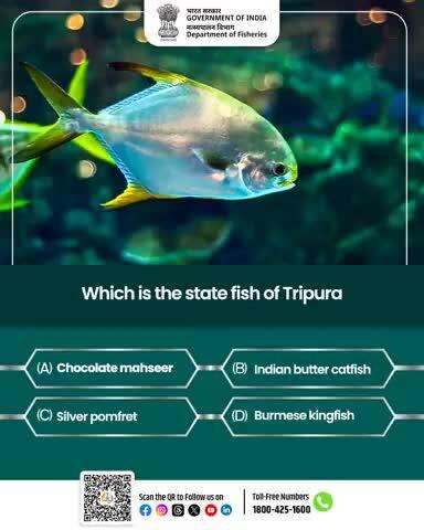 Did You Know?
Which is the state fish of Tripura?
Drop your answer in the comments below!