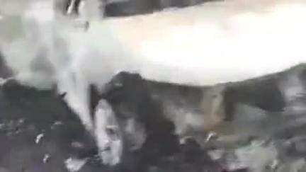 अम्बाला: अंबाला में हाईवे 152 के मानपुर चौक पर कार में लगी आग, रेहड़ी चालक बाल-बाल बचा