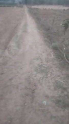 ye jay rampurwa ke jungle Jane ka rasta ka hai bhai dhekh lo bhai