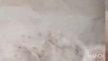 सोहावल: मोईया कपूरपुर में खेत के मेड़ के विवाद को लेकर दो पक्षों में चली जबरदस्त लाठियां, पुरुष के साथ मारपीट में महिला भी शामिल