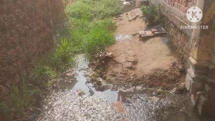 चंडी: चंडी प्रखंड के तुलसीगढ़ पंचायत के गोपी बिगहा वार्ड संख्या 3 में बदहाल नाली-गली, लोग नरकीय जीवन जीने को विवश #jansamasya