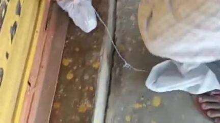 बीएमओ ने झोलाछाप डॉक्टरों और पैथोलॉजी पर कार्रवाई करते हुए सील लगाई