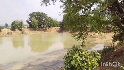 कुंवारपुर में अमृत सरोवर बना 'भ्रष्टाचार सरोवर', ₹7.88 लाख की गड़बड़ी का आरोप #jansamasya