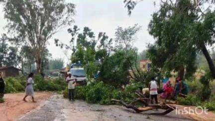 मनोहरपुर: प्रखंड में आंधी-पानी से सड़क पर गिरे पेड़, आवागमन हुआ बाधित