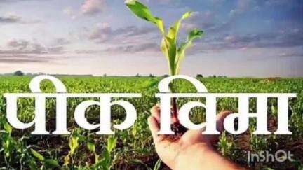 निलंगा: निलंगा येथे पिक विमा साठी तालुकास्तरीय समिती गठीत. पिकविमा न मिळालेल्या शेतकऱ्यांना 15 मे पर्यंत तक्रारी अर्ज करता येणार